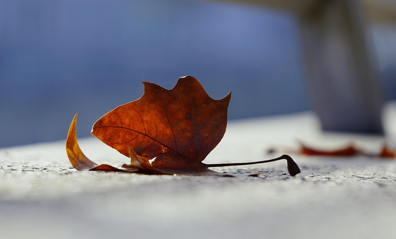 中國五大戰(zhàn)區(qū)省份劃分最新動(dòng)態(tài)揭秘