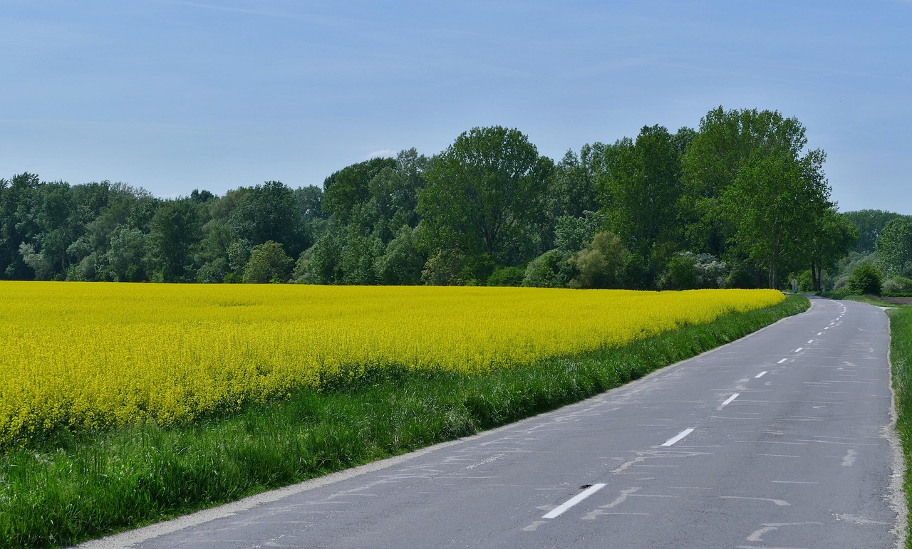 蕪黃旌德段建設(shè)進(jìn)展及未來展望，最新消息揭秘