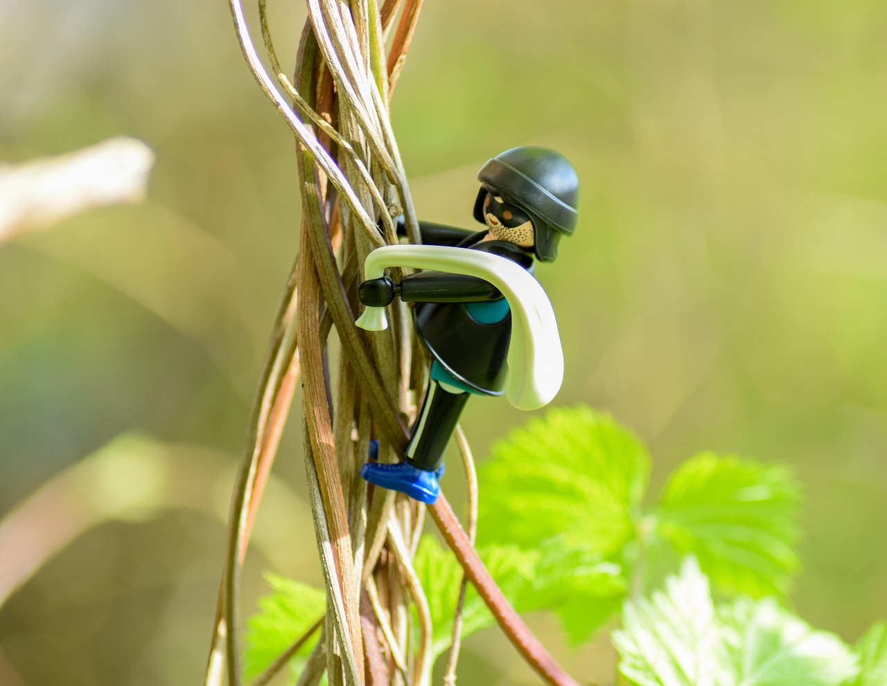 暴走御姐 第13頁(yè)