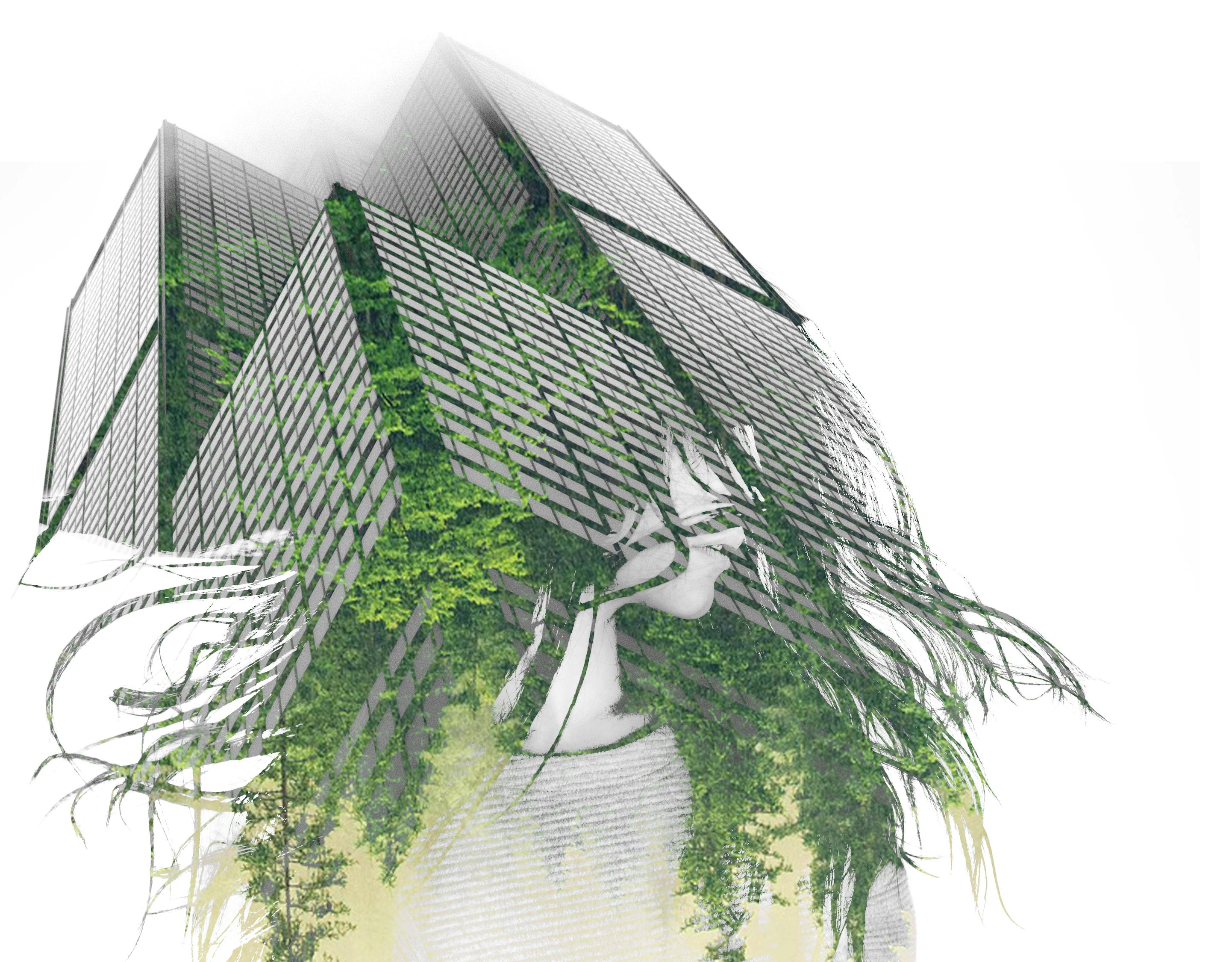 楊冪街拍生活照曝光，時尚潮流風(fēng)向標(biāo)的新動態(tài)