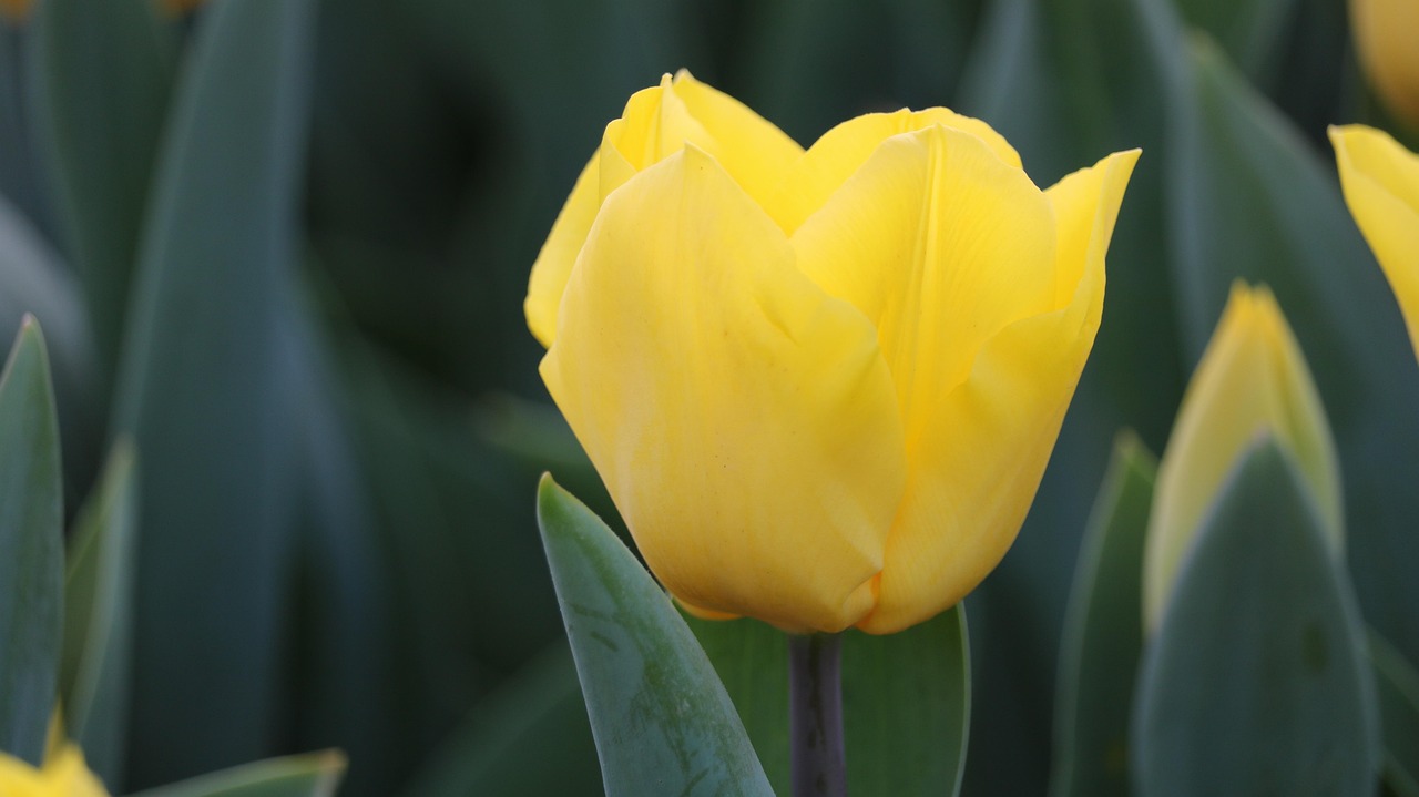 百色百投集團(tuán)最新招聘動態(tài)，戰(zhàn)略背后的意義與崗位更新