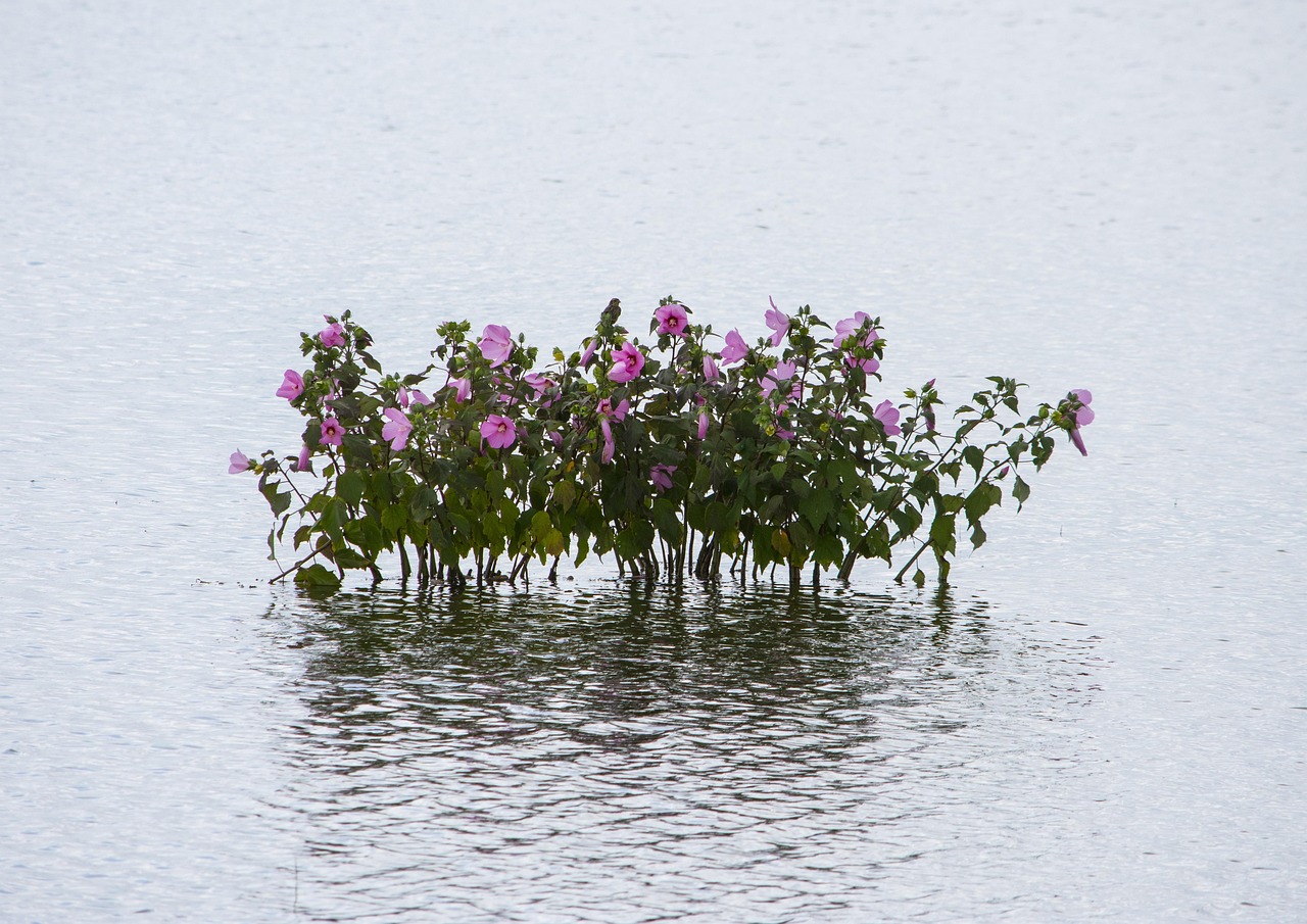 2025年2月 第23頁