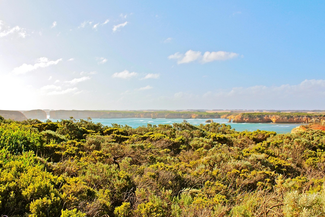水洛鎮(zhèn)崖王村最新動(dòng)態(tài)更新，最新消息匯總