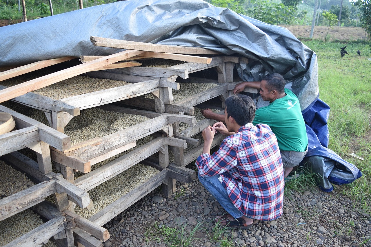 甘肅省玉門市最新房價動態(tài)分析與趨勢預測
