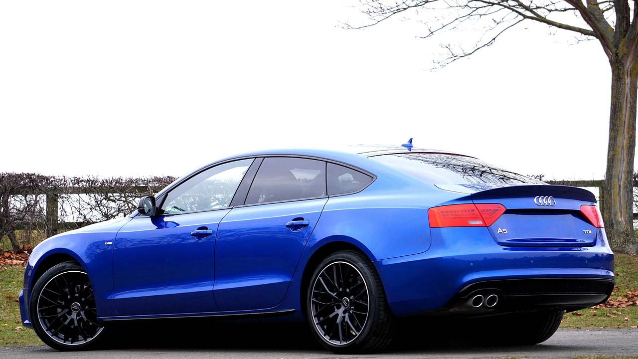 2025年3月 第446頁