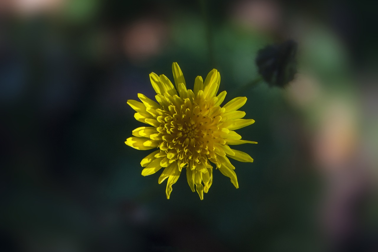 潢川龍江花園產權問題更新動態(tài)，最新消息匯總