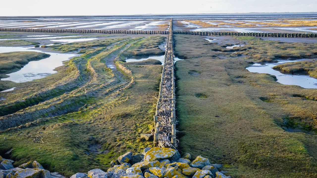 ?；◢u最新工程進(jìn)度圖全景概覽