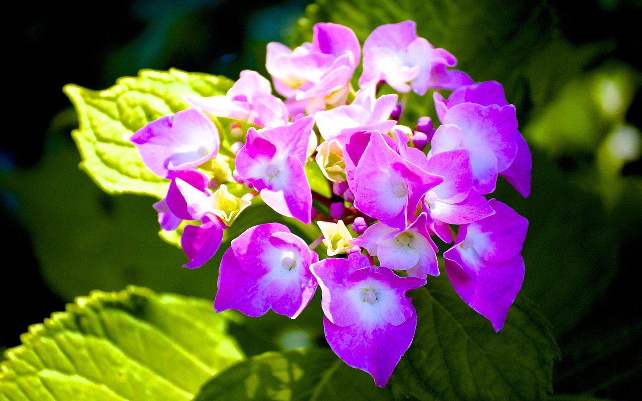 李景文將軍的最新動態(tài)，軍事生涯與卓越貢獻(xiàn)概述