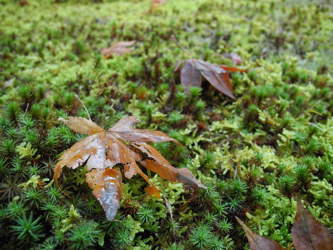 福建三明市最新新聞概覽，聚焦當地時事熱點與動態(tài)
