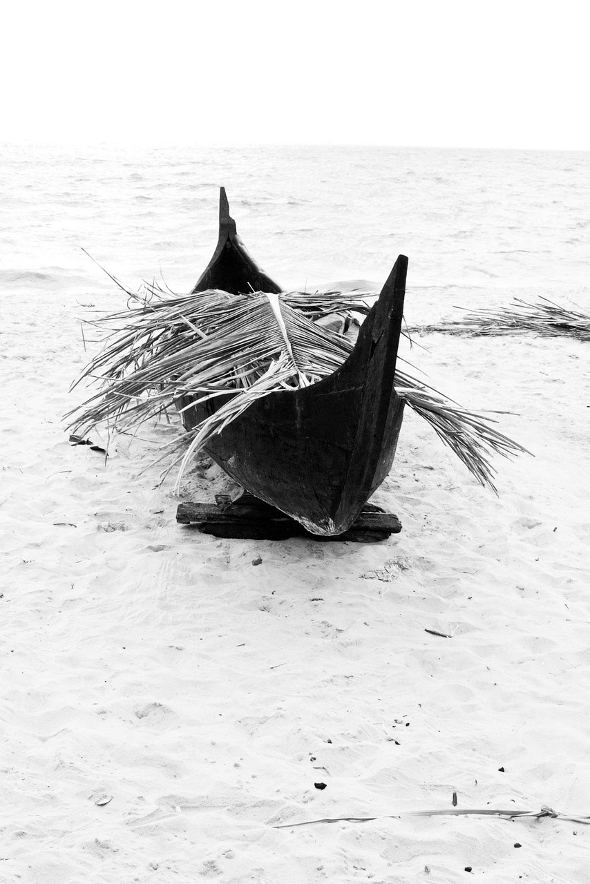 臺(tái)風(fēng)最新動(dòng)態(tài)，2017年第3號(hào)臺(tái)風(fēng)分析與預(yù)測(cè)